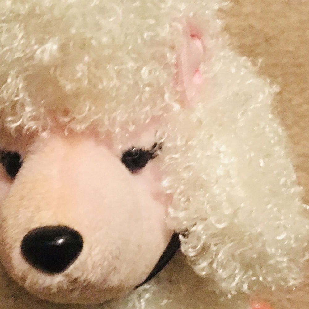 Final Price ⭐️Gymboree Children’s Poodle Purse - Picture 5 of 6